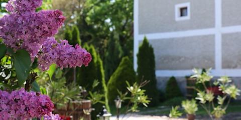 Granarius Udvarház, 6 szoba 16 férőhely